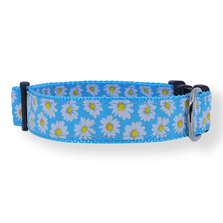 Preston Dog Collar Daisy LT BLUE