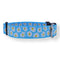 Preston Dog Collar Daisy LT BLUE