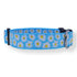 Preston Dog Collar Daisy LT BLUE