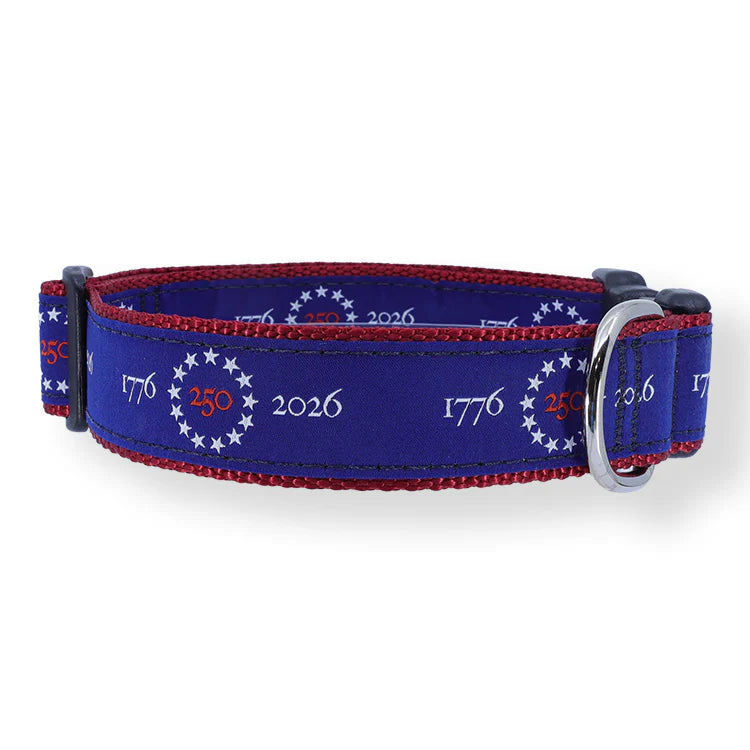 Preston Dog Collar USA 250
