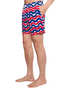 Chubbies M 5.5" Classic Lined Swim Trunk THE DOODLE DANCES