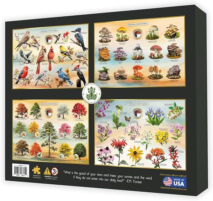 Highland Creek Puzzle NC LIGHTHOUSES