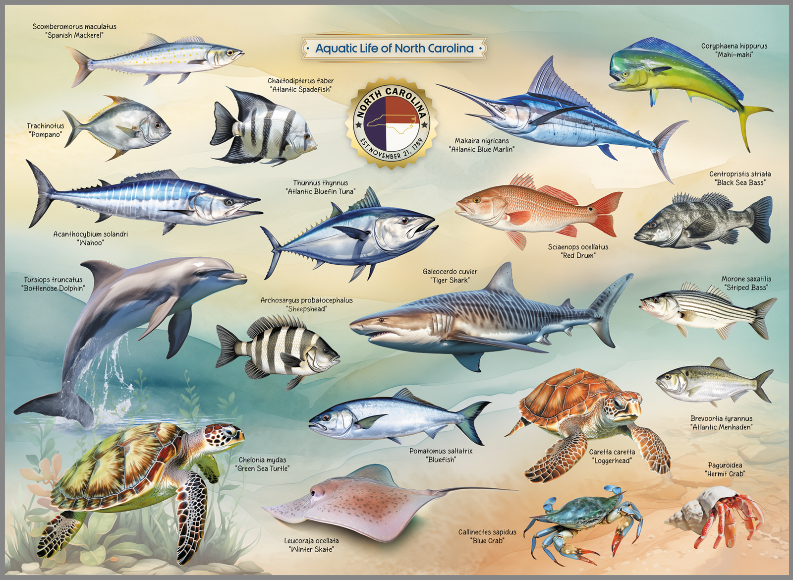 Highland Creek Puzzle NC SEALIFE
