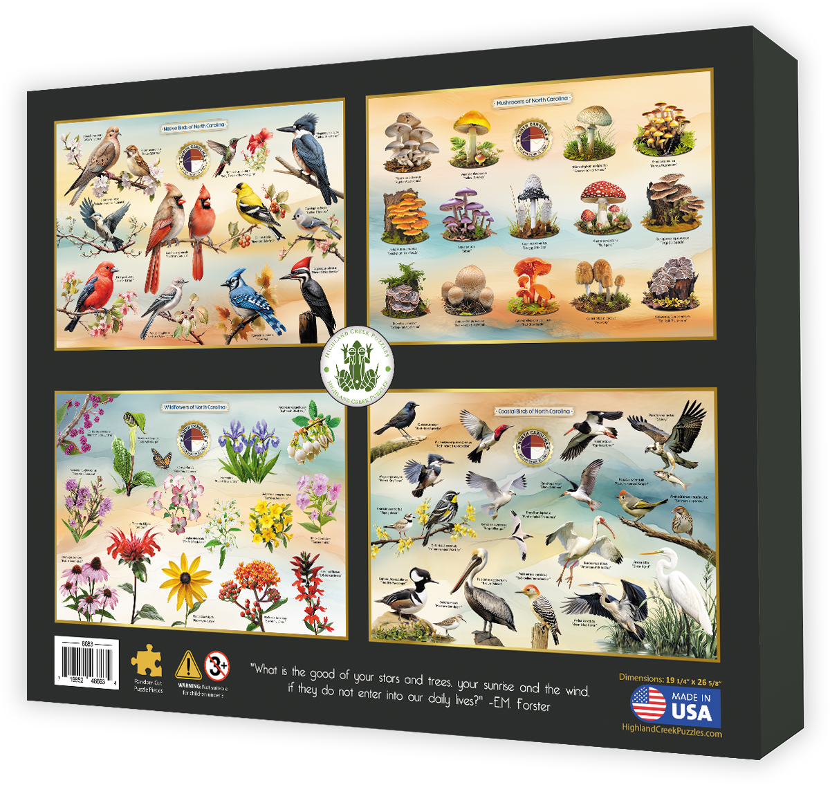 Highland Creek Puzzle NC SEALIFE
