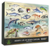 Highland Creek Puzzle NC SEALIFE