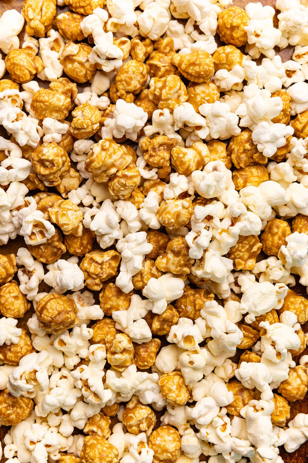 Poppy Popcorn Asheville Mix Artist Market Bag