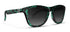 Blenders L Series Emerald GLOSS TORTOISE/SMOKE