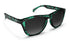 Blenders L Series Emerald GLOSS TORTOISE/SMOKE