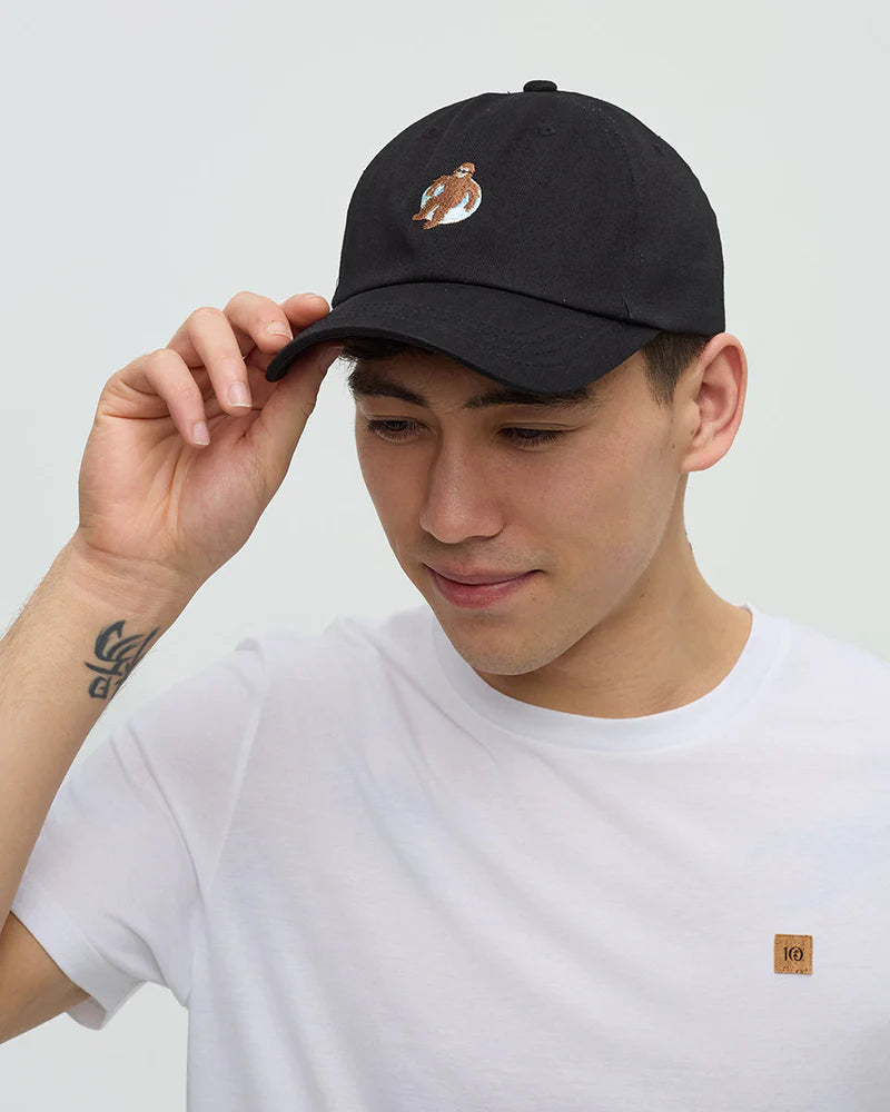 tentree Sasquatch Peak Hat METEORITE BLACK/FLOATIE