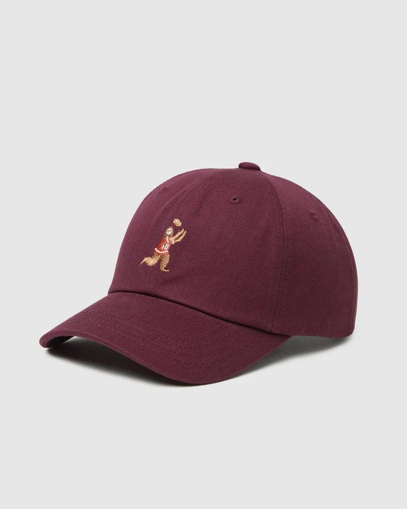 tentree Sasquatch Peak Hat DEEP BURGUNDY / FOOTBALL