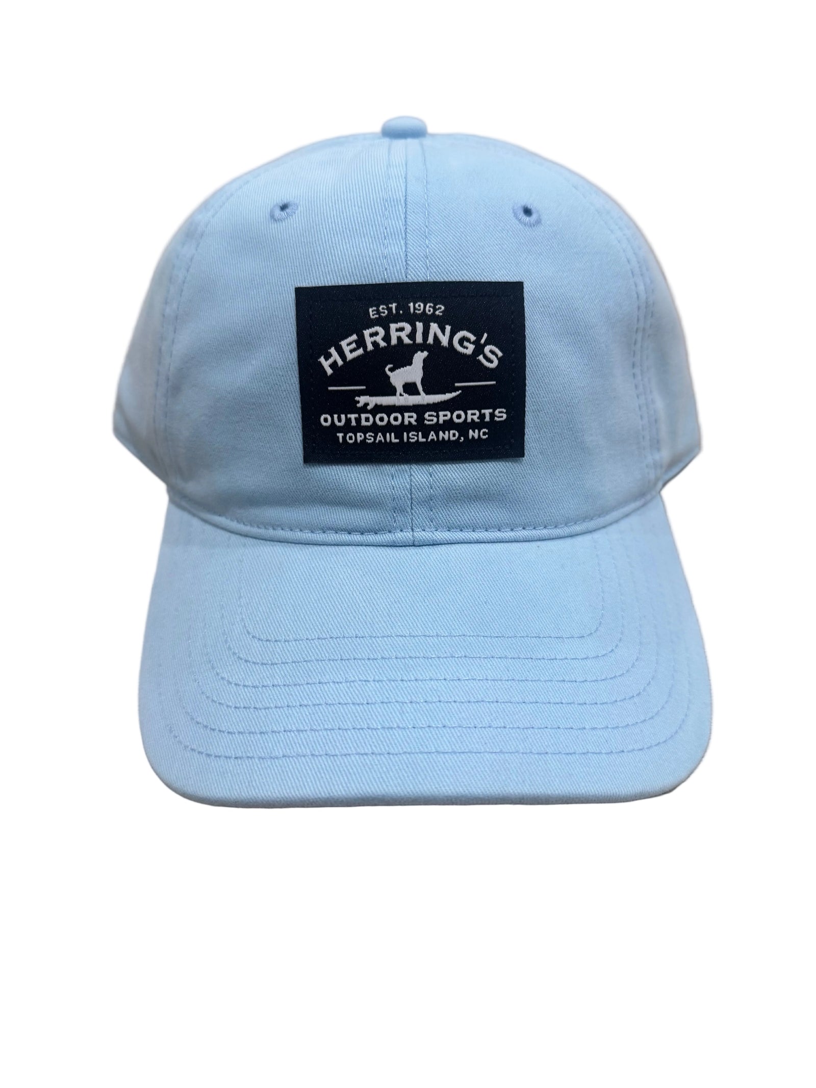 Casquette Richardson Surfing Dog, bleu poudre