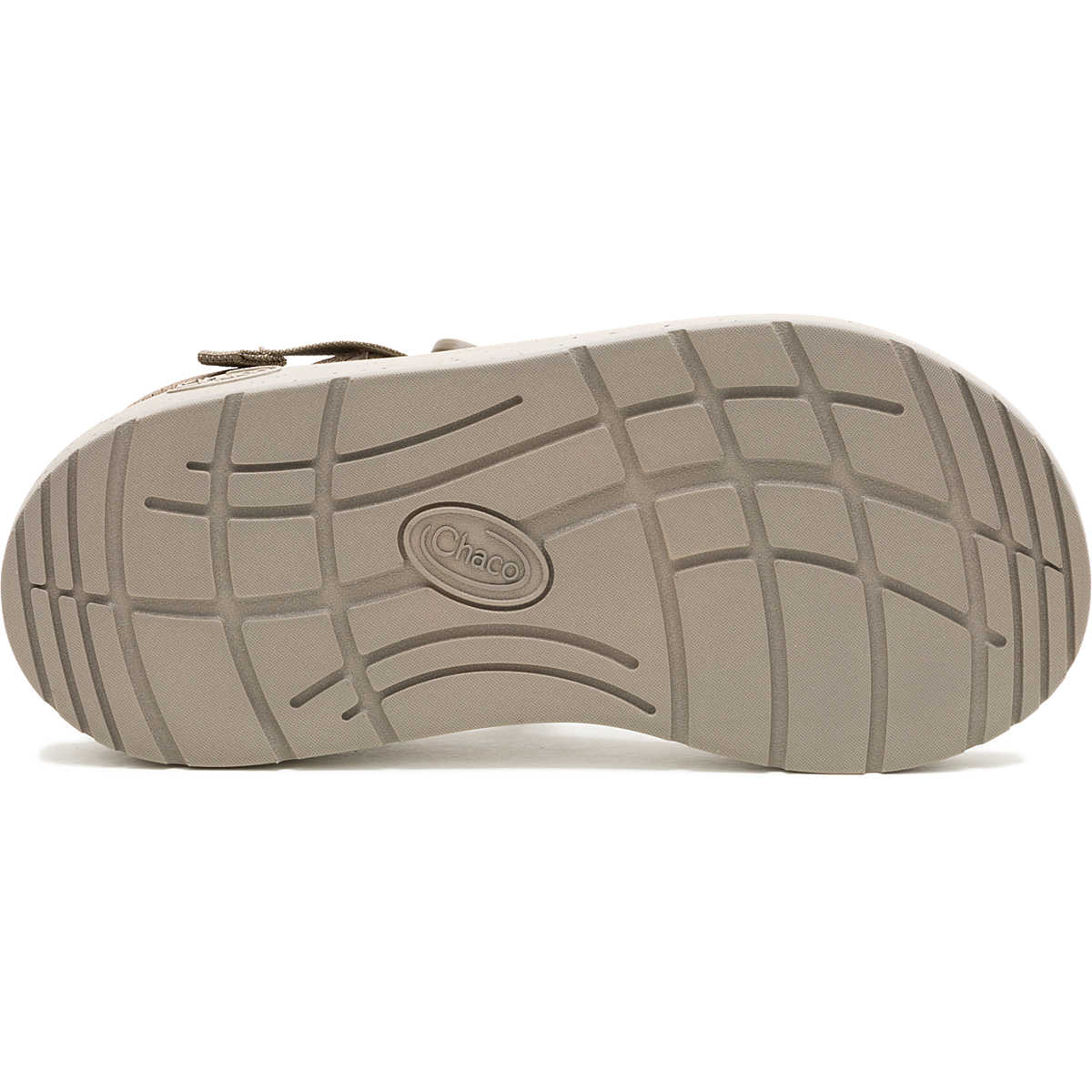 Chaco M ChusZ Toe Loop Sandal FROND TRUFFLE
