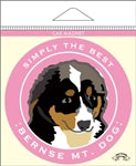 Paper Russells Car Magnet BERNESE MT DOG