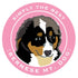 Paper Russells Car Magnet BERNESE MT DOG