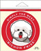 Paper Russells Car Magnet BICHON FRISE