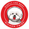 Paper Russells Car Magnet BICHON FRISE