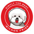 Paper Russells Car Magnet BICHON FRISE