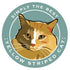 Paper Russells Car Magnet YELLOW STRIPED CAT