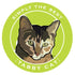 Paper Russells Car Magnet TABBY