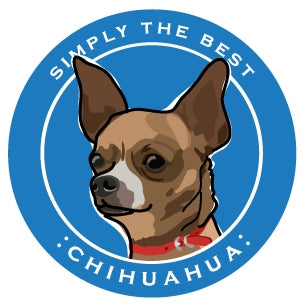 Paper Russells Car Magnet CHIHUAHUA