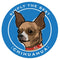 Paper Russells Car Magnet CHIHUAHUA