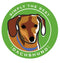 Paper Russells Car Magnet DACHSHUND 599
