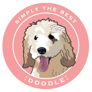 Paper Russells Car Magnet DOODLE