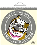 Paper Russells Car Magnet ENGLISH BULLDOG