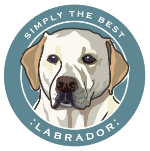 Paper Russells Car Magnet LABRADOR 608