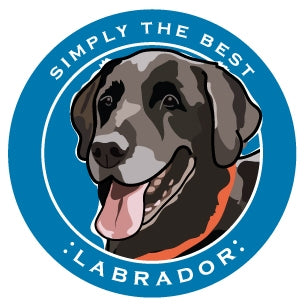 Paper Russells Car Magnet LABRADOR 609
