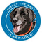 Paper Russells Car Magnet LABRADOR 609