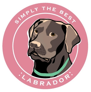 Paper Russells Car Magnet LABRADOR 610