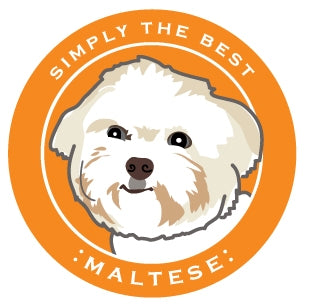 Paper Russells Car Magnet MALTESE