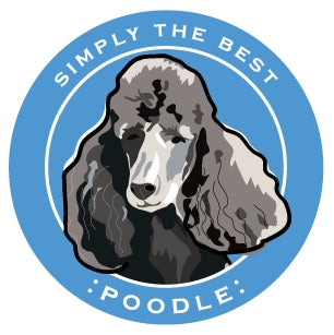 Paper Russells Car Magnet POODLE