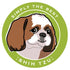 Paper Russells Car Magnet SHIH TZU