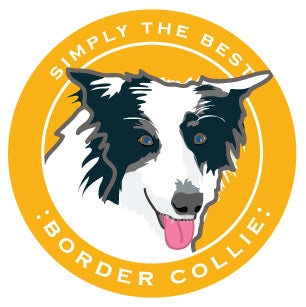 Paper Russells  Car Magnet BORDER COLLIE