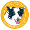 Paper Russells  Car Magnet BORDER COLLIE