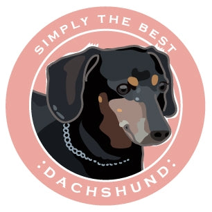 Paper Russells Car Magnet DACHSHUND 697