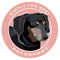 Paper Russells Car Magnet DACHSHUND 697