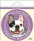 Paper Russells Car Magnet FRENCH BULLDOG