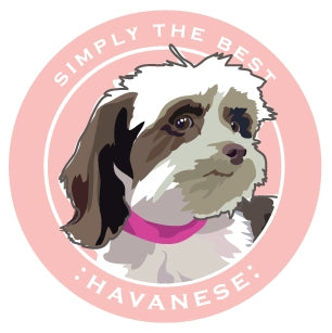 Paper Russells Car Magnet HAVANESE
