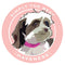 Paper Russells Car Magnet HAVANESE