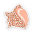 The Happy Sea 3" Conch Shell Sticker
