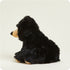 Warmies Bear BLACK