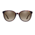 Smith Cheetah TORTOISE/BROWN GRADIENT