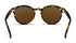 Blenders Coastal X2 TORTOISE