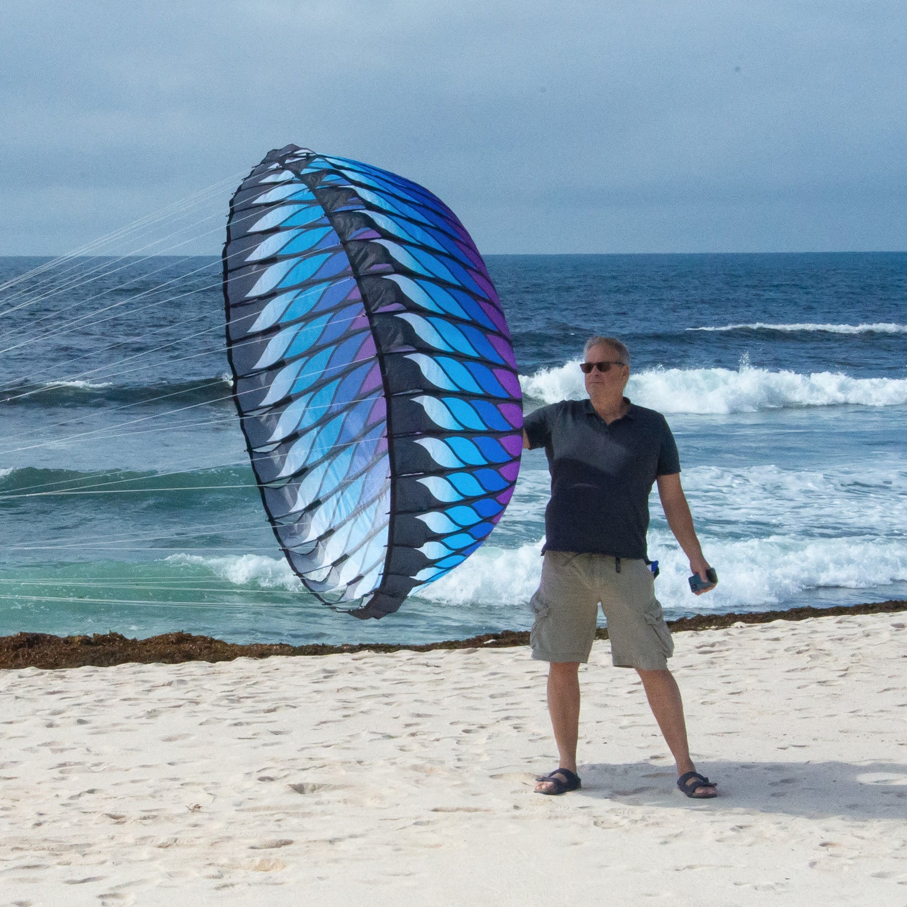 Prism Spider Kites Brasington Bol PURPLE/BLUE