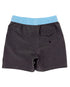 Feather 4 Arrow Baby Wave Bound Boardshort LAVA ROCK