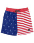 Feather 4 Arrow Baby Palm Stripe Volley TWILIGHT