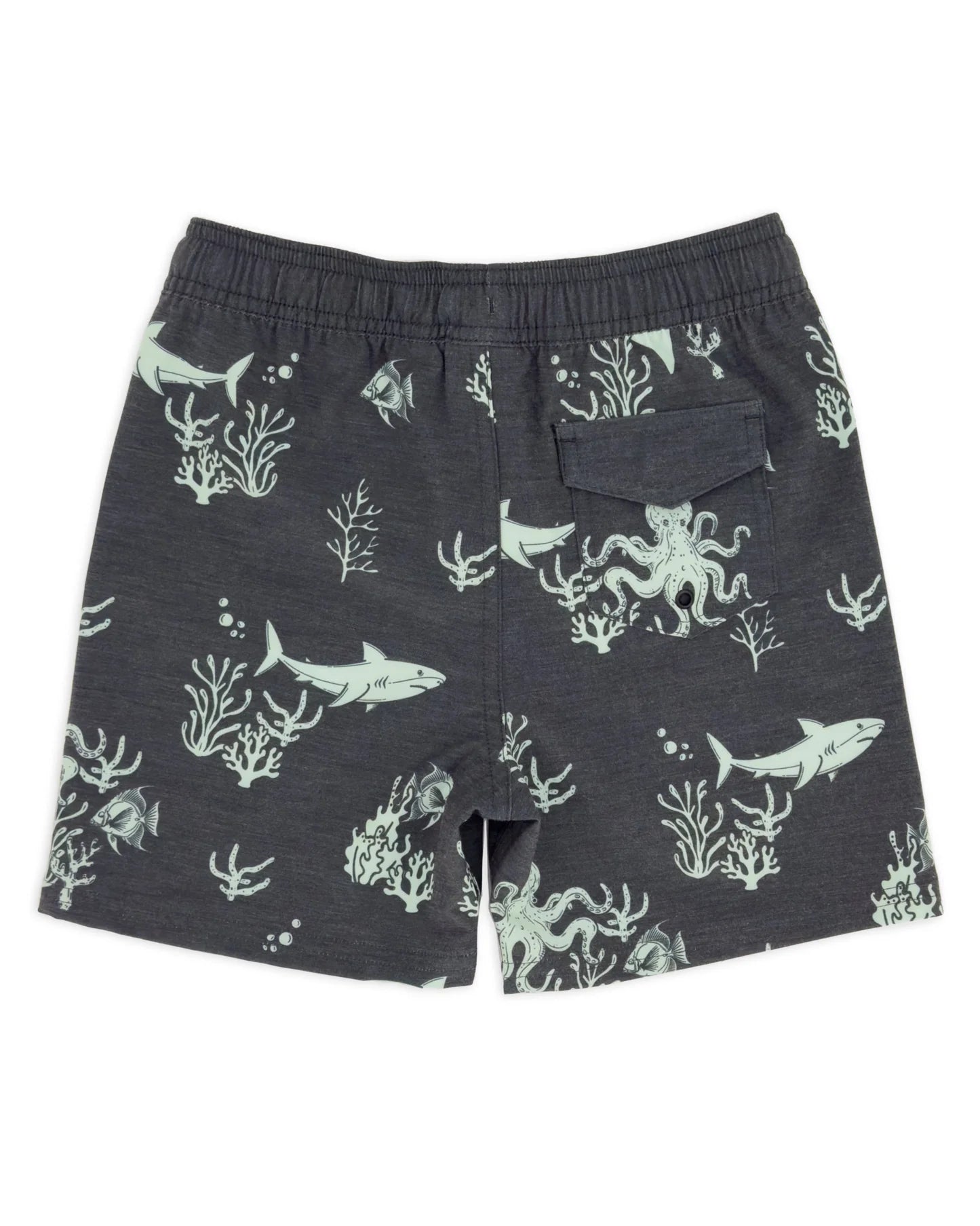 Feather 4 Arrow Boy's Classic Boardshort Deep Sea BLACK